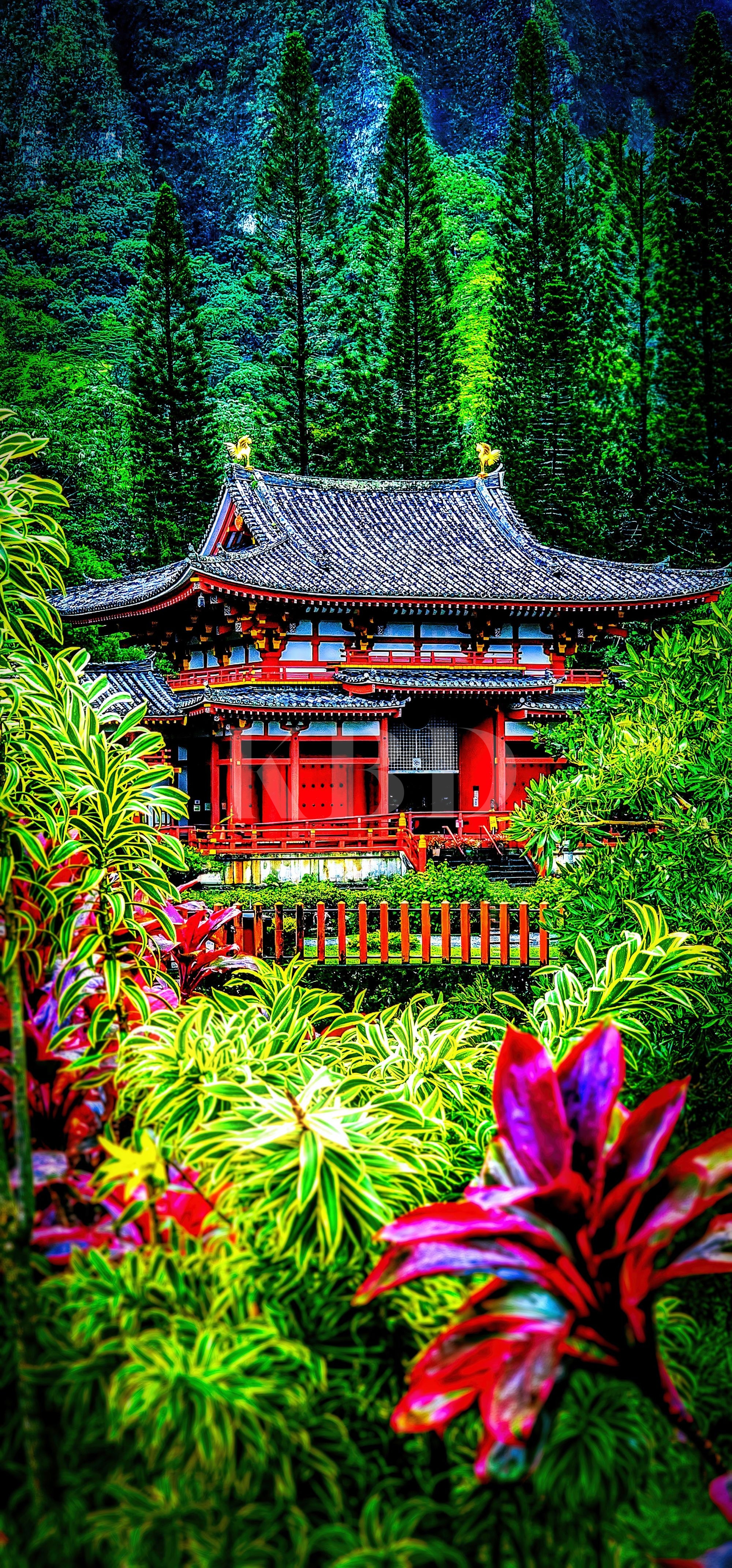 Vibrant red Japanese temple surrounded by lush tropical jungle foliage and exotic red flowers in Hawaii