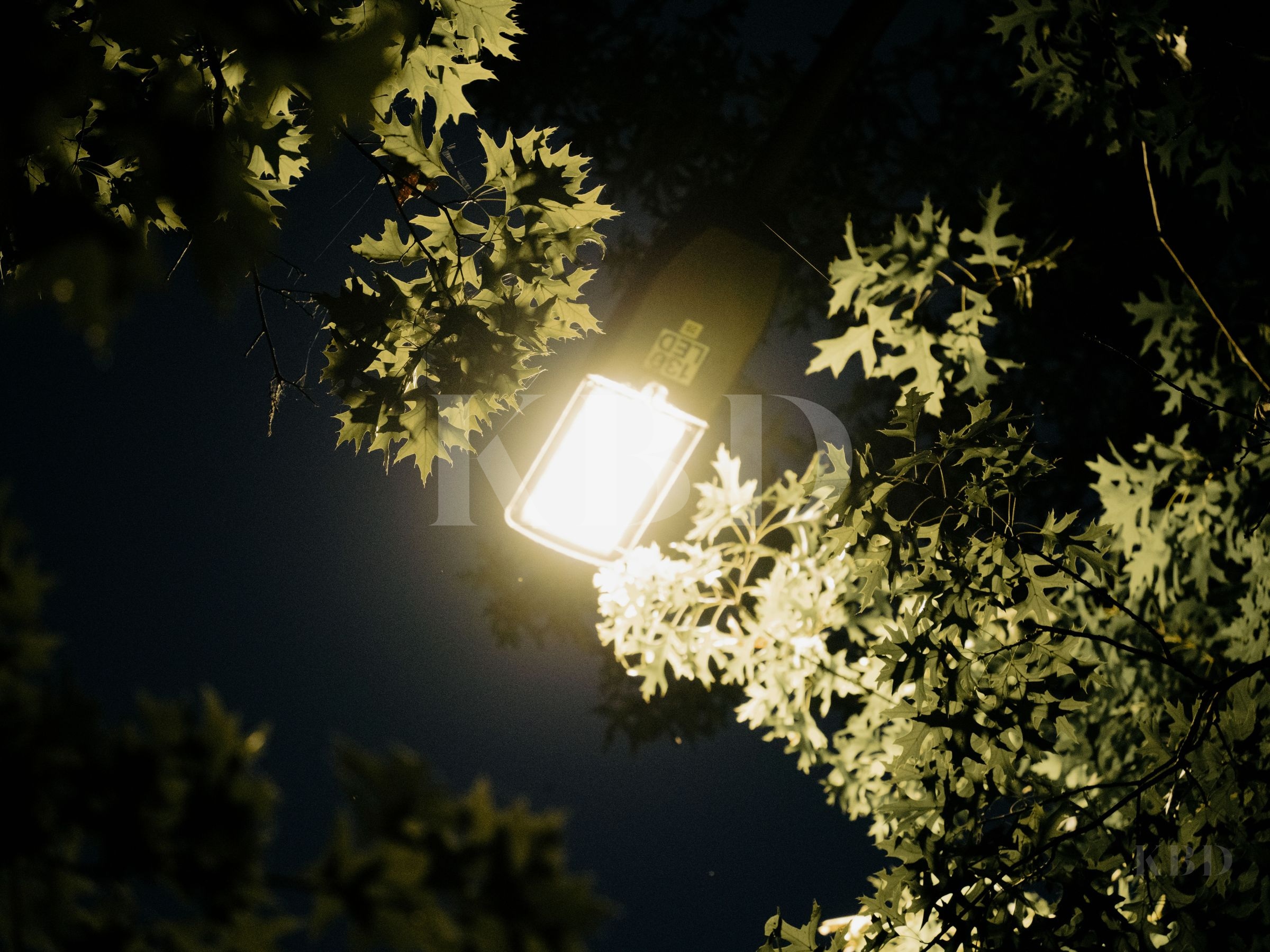 SL01